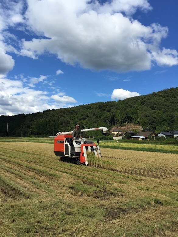 【秋の味覚】令和8年産新米｜京都丹後コシヒカリ・特別栽培米｜白米５Kg・注文後精米