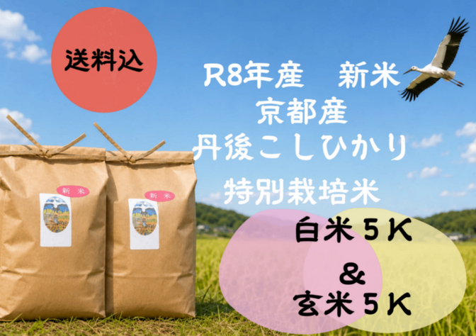 【秋の味覚】令和8年産新米｜京都丹後コシヒカリ・特別栽培米｜玄米5kg＋白米5kgセット