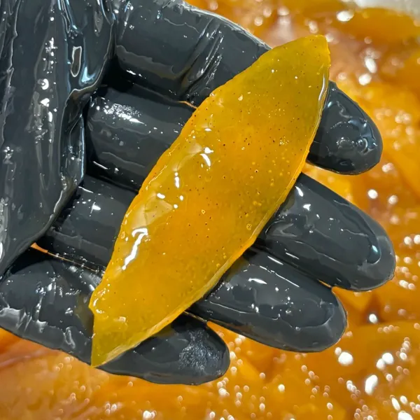 徳島県産木頭柚子を使ったこだわりの柚子ピールショコラ🟡🍫【秋の味覚】