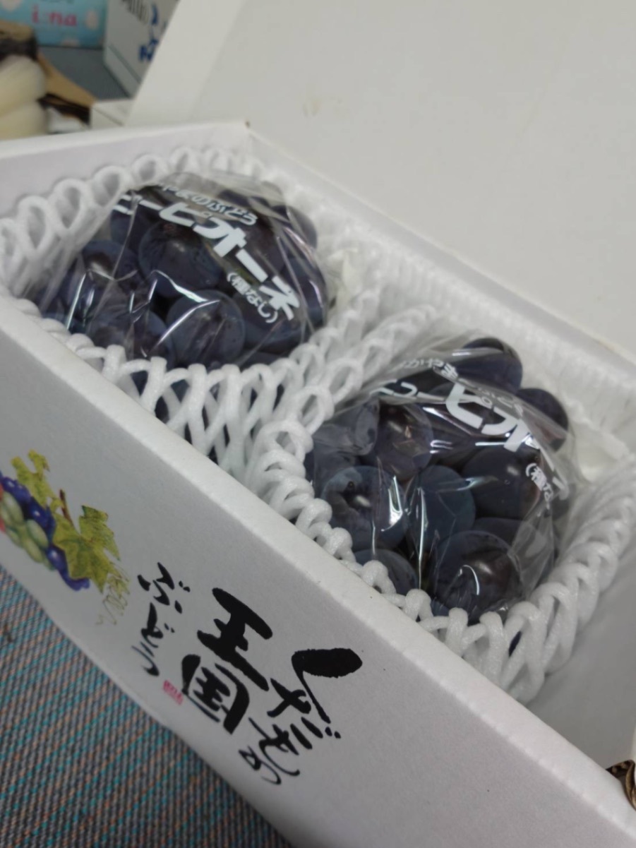 【ご注文から3日以内に発送】【秋の味覚】岡山県産ピオーネ 1kg（2房）贈答用 9月中旬で終了