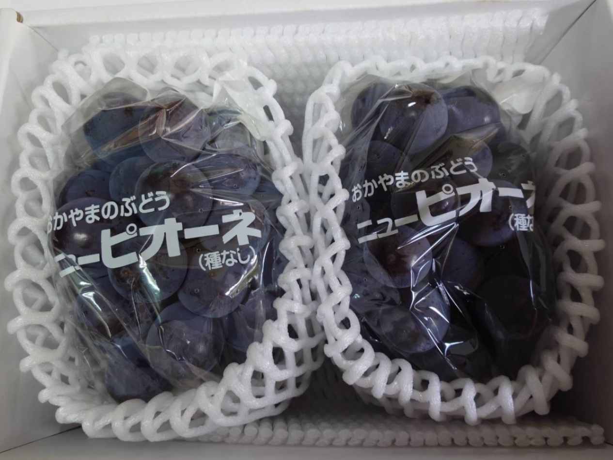 【ご注文から3日以内に発送】【秋の味覚】岡山県産ピオーネ 1kg（2房）贈答用 9月中旬で終了