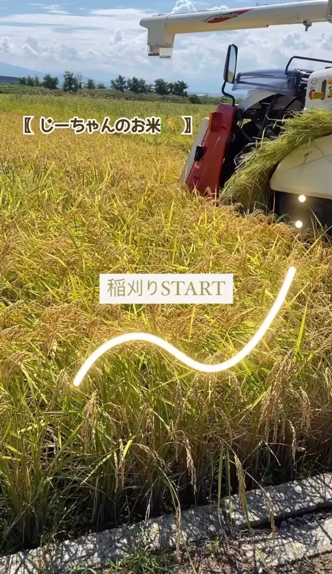 〖 じーちゃんのお米🌾 〗新米！コシヒカリ30kg 石川県　令和８年産　玄米 or 白米