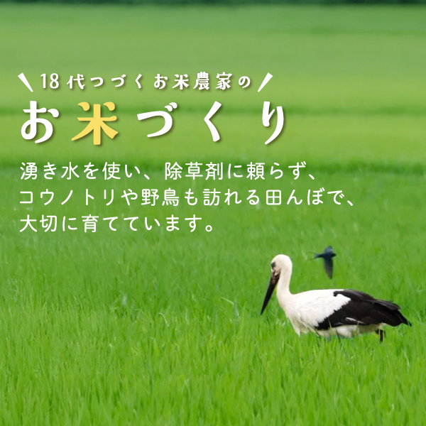 R8新米 にじのきらめき 玄米10kg 精米OK 湧水育ち 減農薬 減化学肥料 徳島産 【秋の味覚】