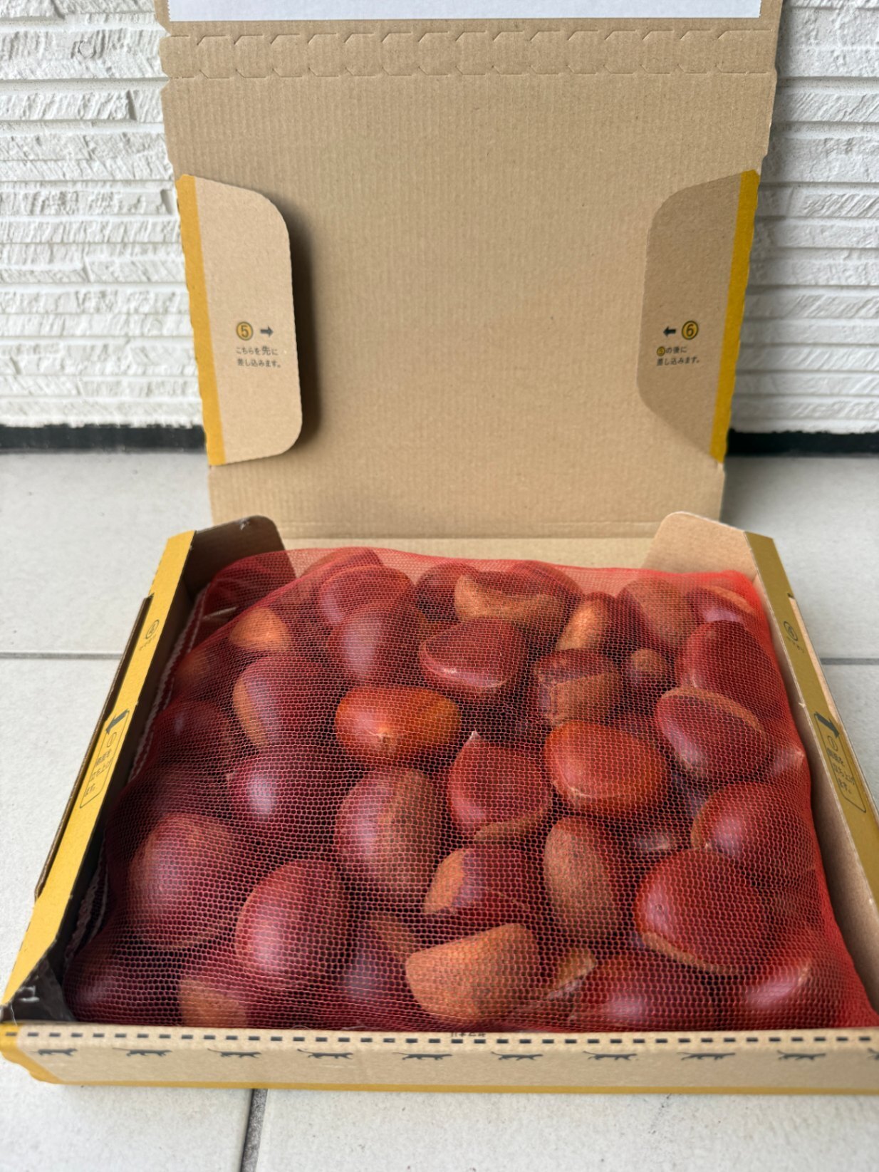 【秋の味覚】愛媛県産 生栗 約1.5kg 皮付き  完全無農薬 水選別済み チルドで甘さアップ