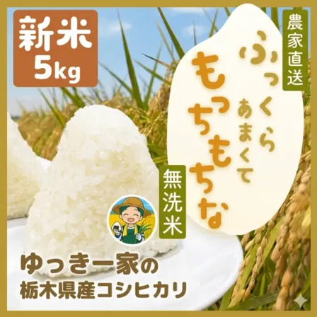 【秋の味覚】令和8年産 新米コシヒカリ 栃木県産 無洗米・白米・七分づき 5kg〜20kg 農家直送