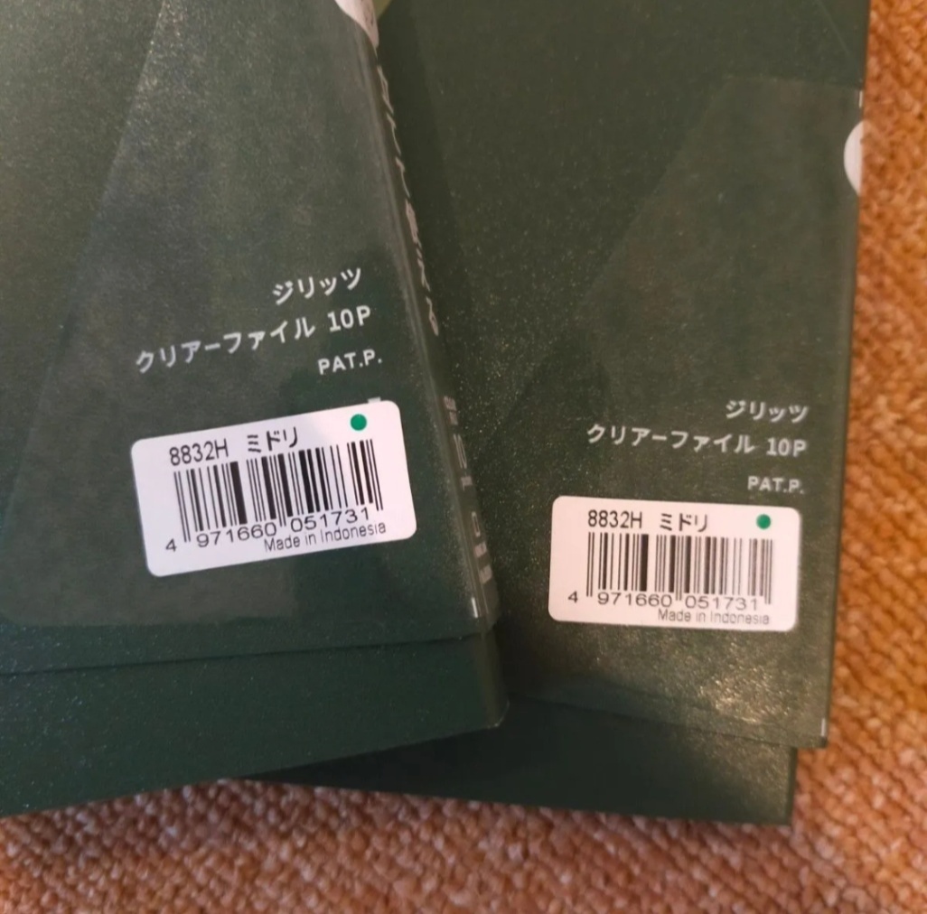 キングジム  ジリッツ クリアーファイル 10P ミドリ 立てて使える 2冊セット