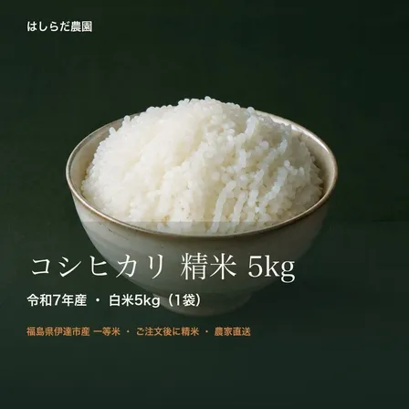 米　令和７年福島県産コシヒカリ精米１０キロ 農家直送送料込み 福島県産コシヒカリ 精米10kg（5kg×2袋）令和7年産 一等米｜ご注文後に