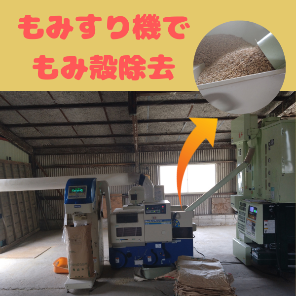 [予約受付中]令和8年産　ヒノヒカリ玄米20キロ｜農家直送　10月中旬より順次発送予定