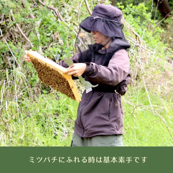 千葉県産はちみつ
季節の百花蜂蜜食べ比べセット