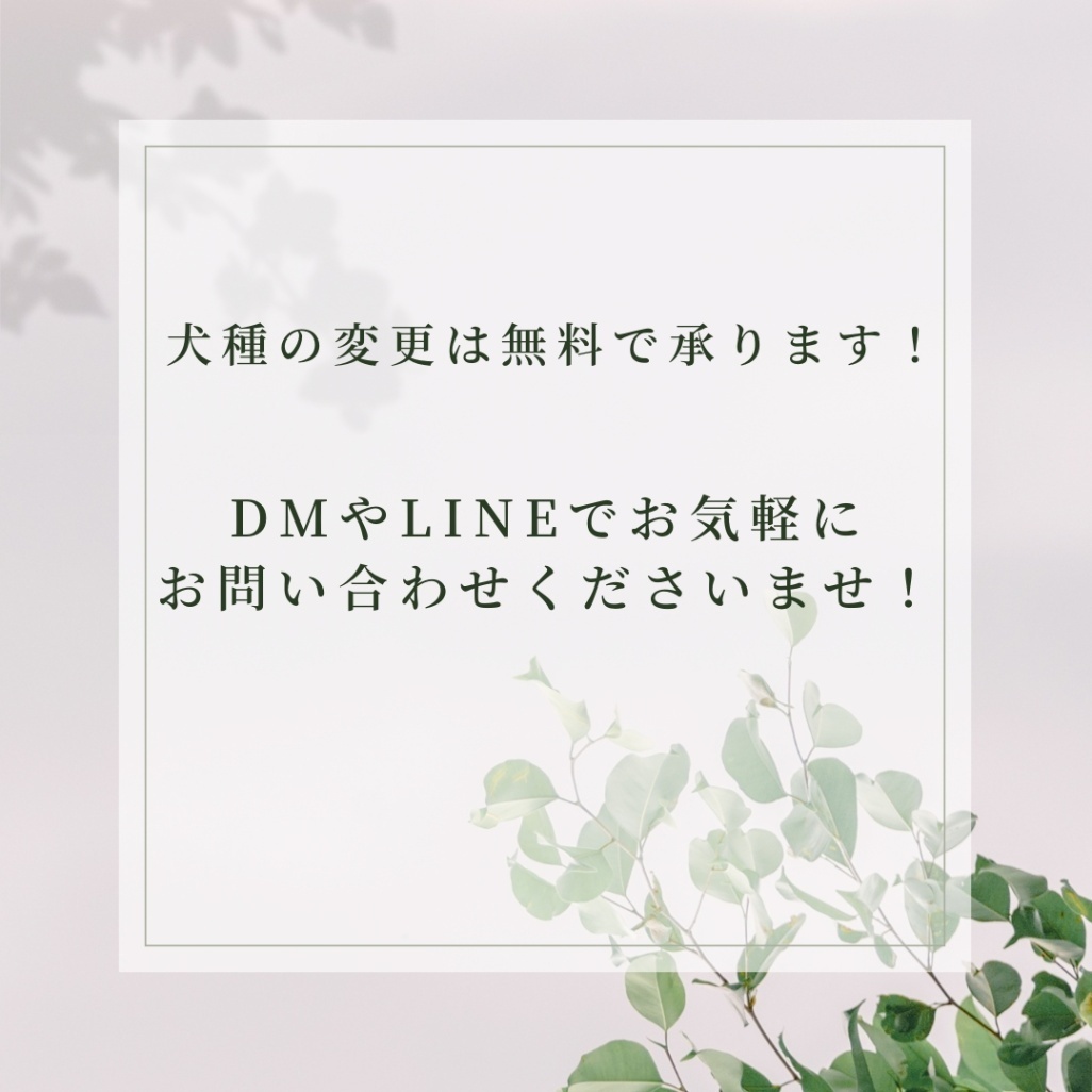 しっぽがゆれる！ふりふりわんこ時計_トイプードル