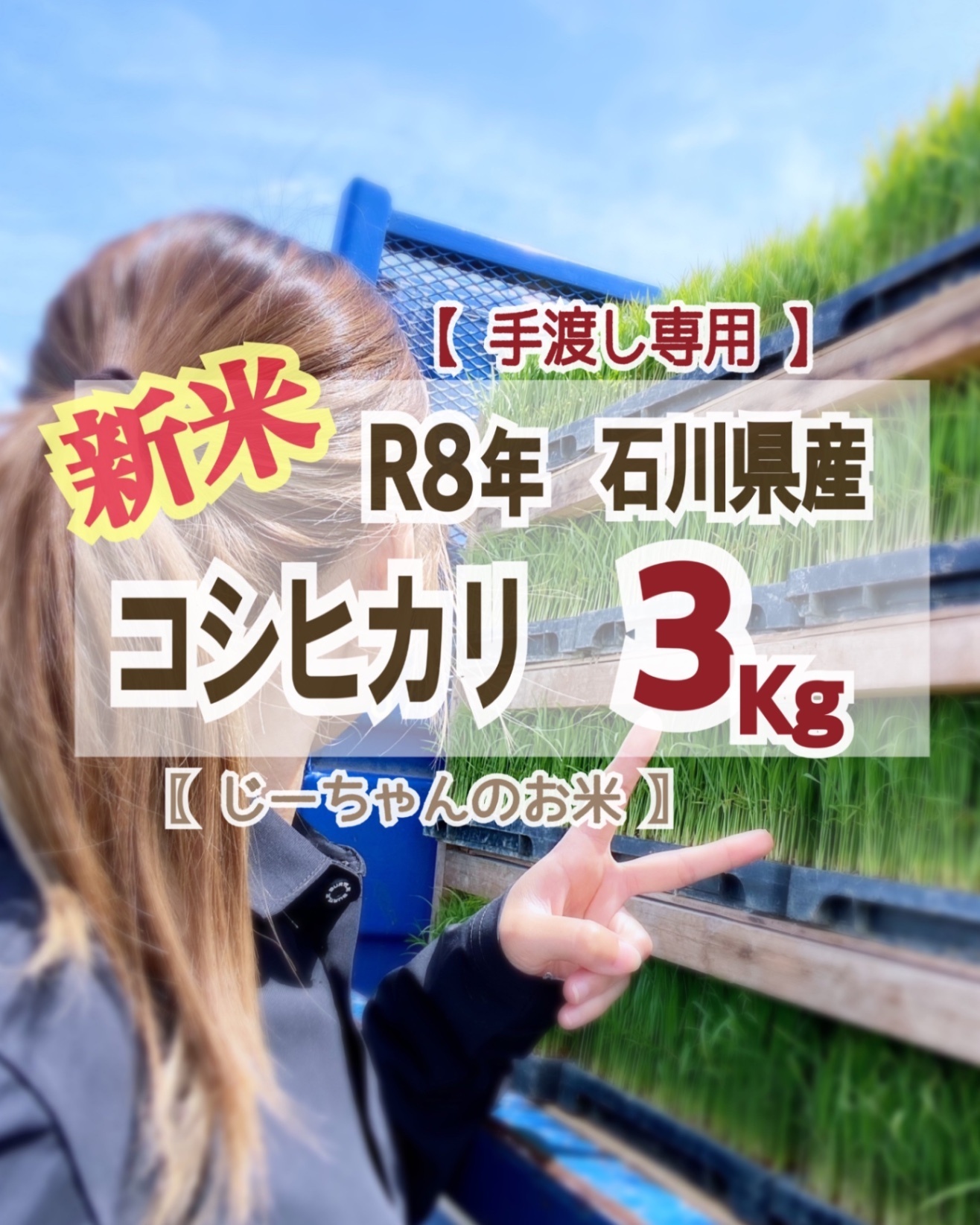 手渡し専用〖 じーちゃんのお米🌾 〗新米！コシヒカリ3kg 石川県　令和８年産　玄米 or 白米