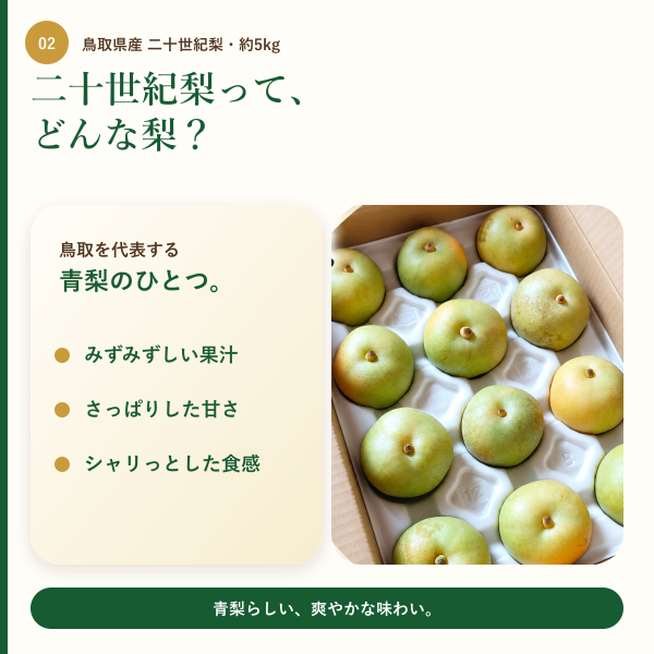 【鳥取県産】二十世紀梨 約5kg｜みずみずしく爽やかな青梨｜ご家庭用