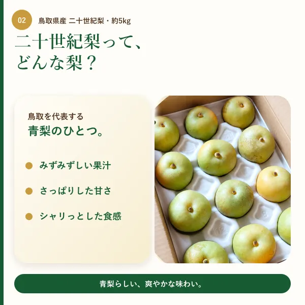 【鳥取県産】二十世紀梨 約5kg｜みずみずしく爽やかな青梨｜ご家庭用