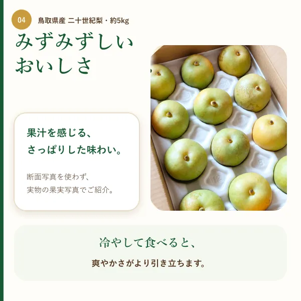 【鳥取県産】二十世紀梨 約5kg｜みずみずしく爽やかな青梨｜ご家庭用