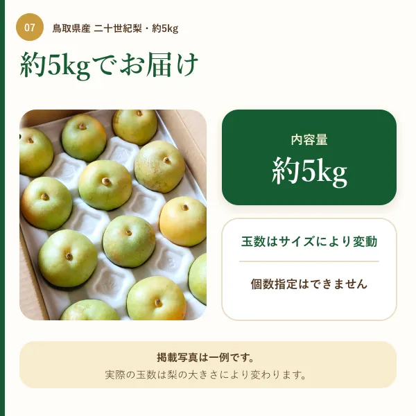 【鳥取県産】二十世紀梨 約5kg｜みずみずしく爽やかな青梨｜ご家庭用