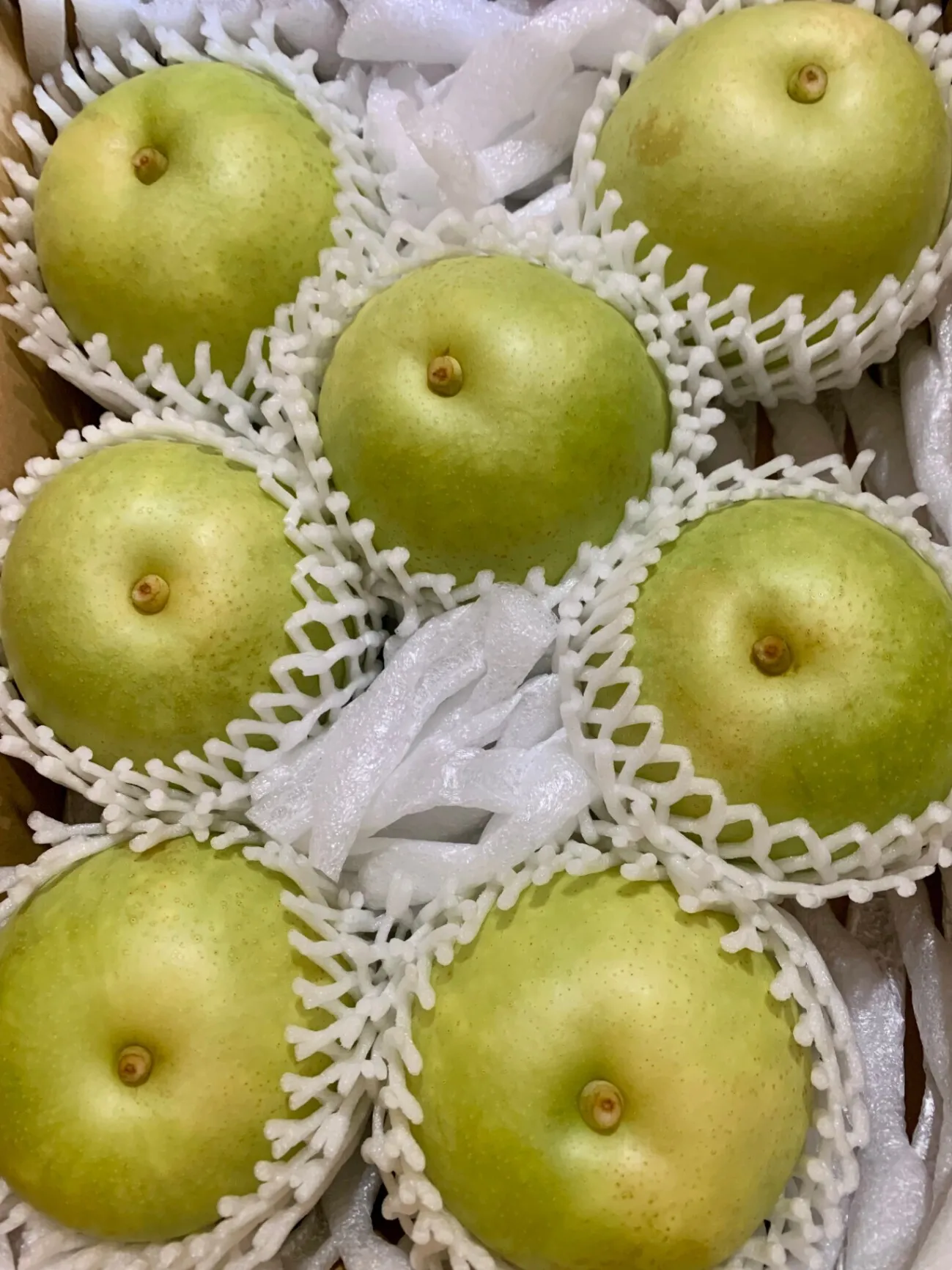 【家庭用・サイズおまかせ】農家直送・二十世紀梨 3kg