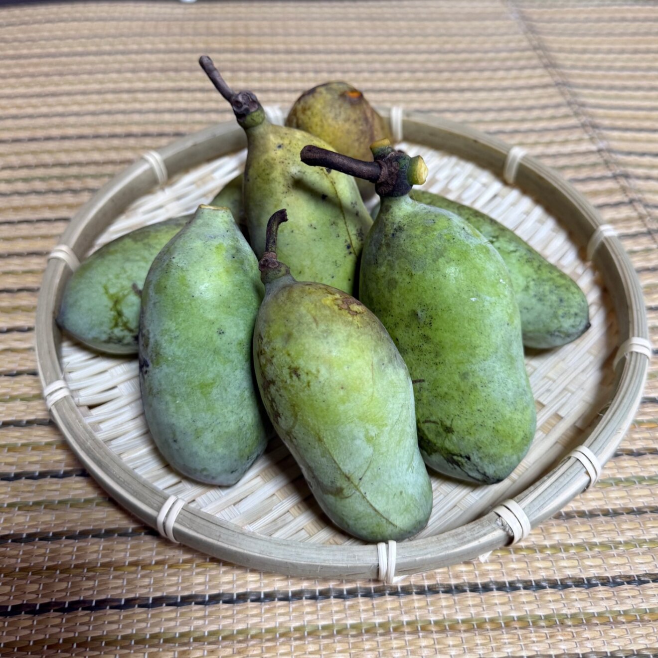 【秋の味覚】シーズン終盤　愛媛県産 「ポポー」約1kg スーパーに並ばない「幻の果物」