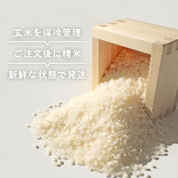 【数量限定】R8 にじのきらめき 玄米10kg 精米OK 湧水 減農薬 減化学肥料 徳島【秋の味覚】