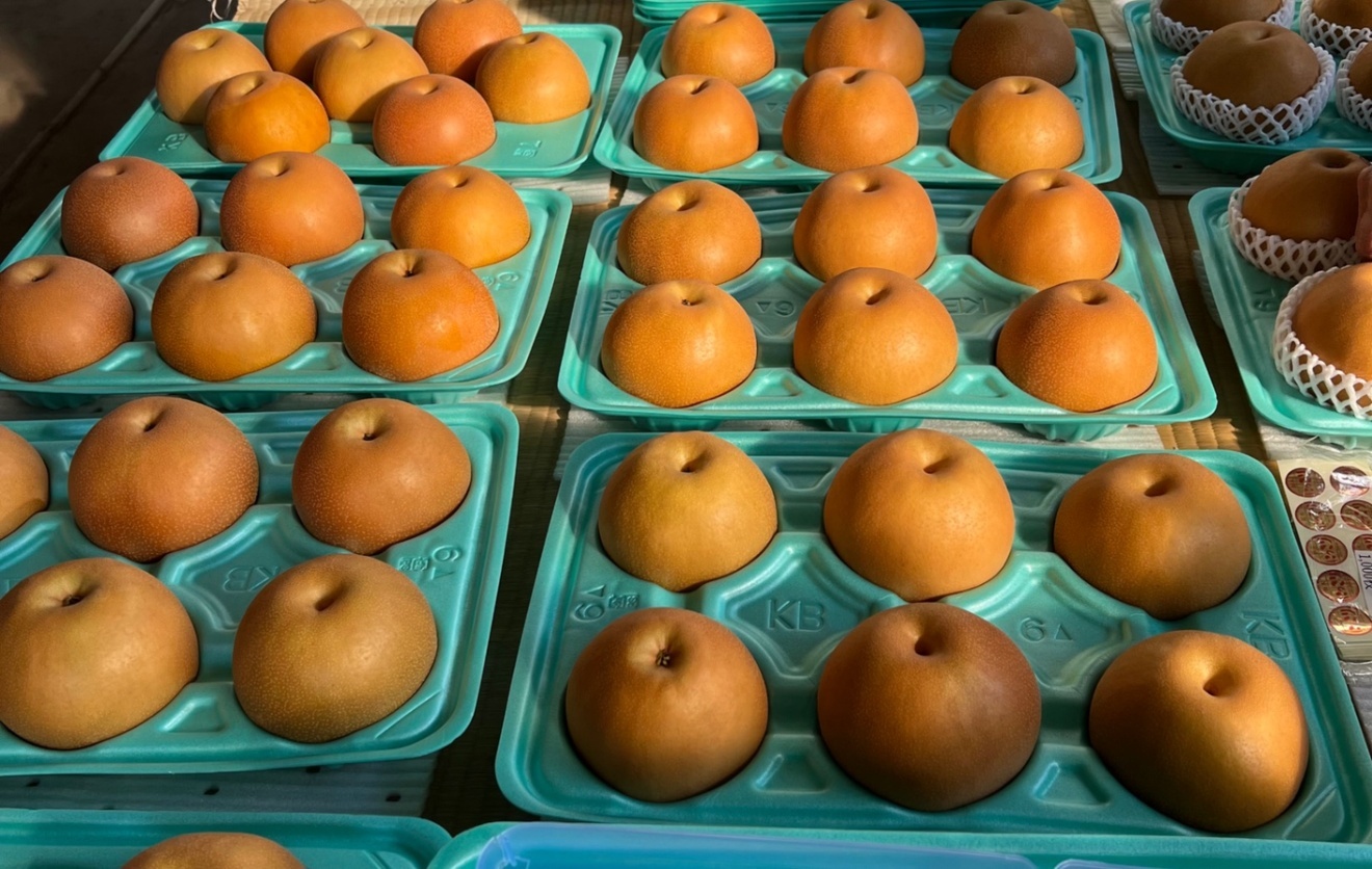 【秋の味覚】【10月初旬〜中旬頃順次発送予定・予約受付中】にっこり　梨5kg 
