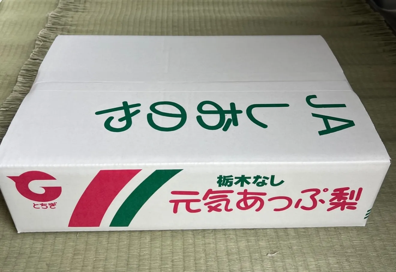 あきづき　梨5kg