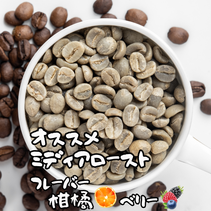 🇹🇿KIBO AA 自家焙煎コーヒー豆 400g【焙煎 挽き方思いのまま】