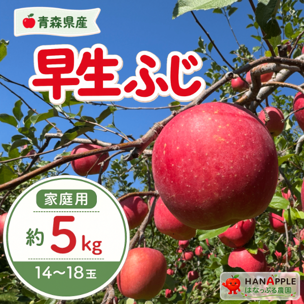 【予約受付中 ※9月下旬〜発送予定】
青森県産『早生ふじ』【家庭用】約5kg
