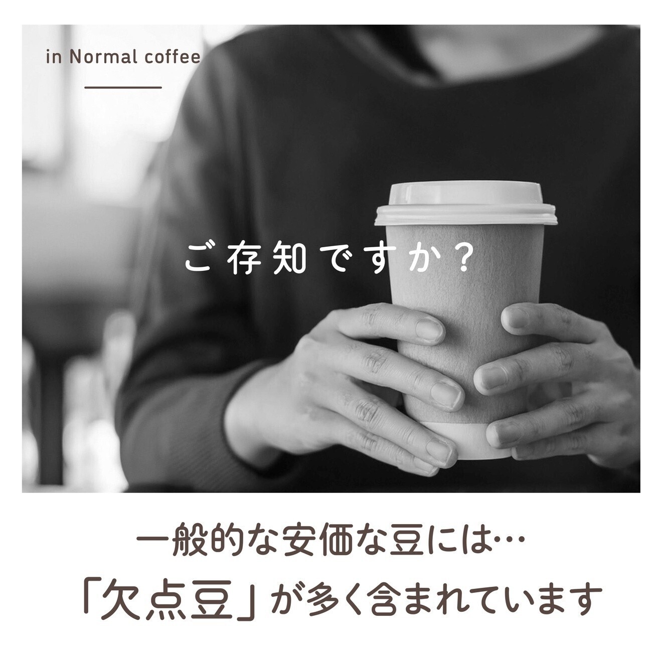【10個セット】体にやさしいまめなりコーヒー ドリップバッグセット