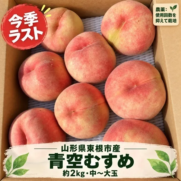 【今季ラスト】山形県東根市産 桃「青空むすめ」約2kg｜減農薬・中〜大玉・贈答用