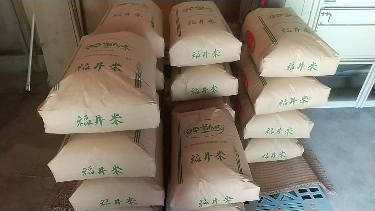 令和8年産  鹿も狙ううまい米 30kg(コシヒカリ・玄米)

