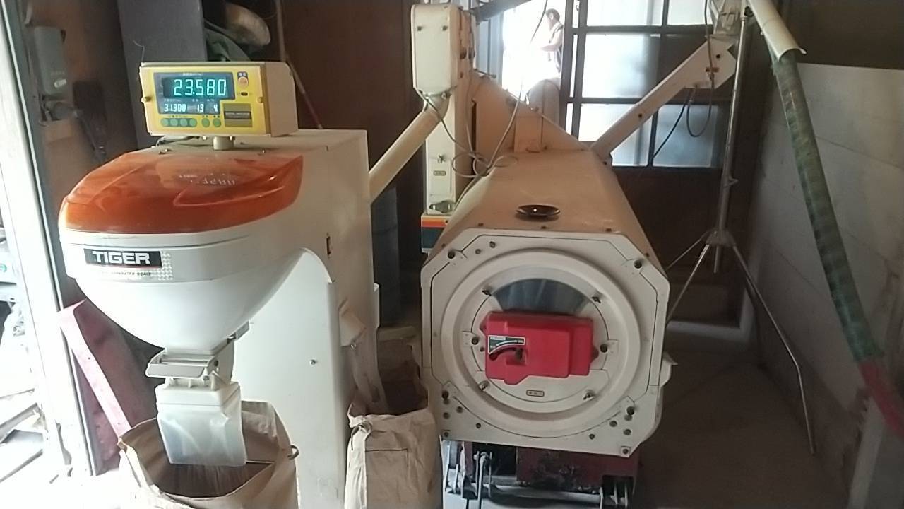 【新米】令和8年産  鹿も狙ううまい米 10kg(コシヒカリ・無洗米対応可)