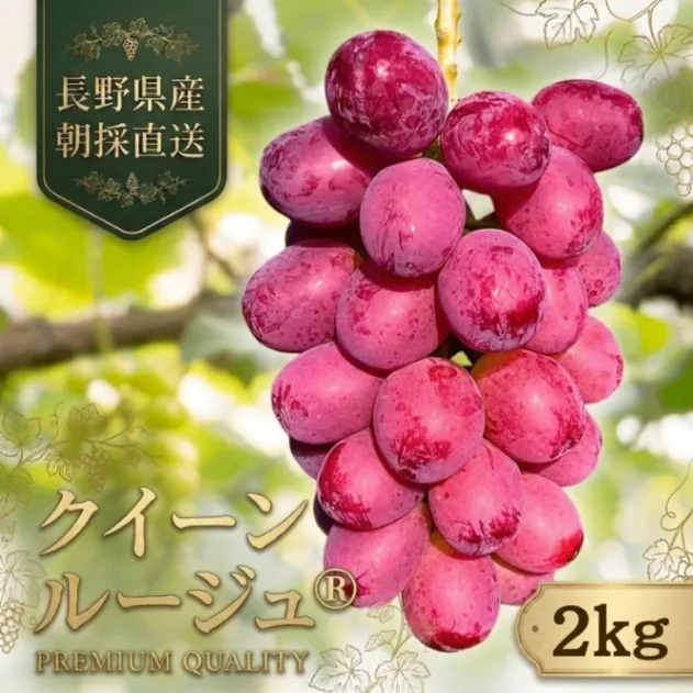 【完熟朝採り】クイーンルージュ 2kg（3～4房）【秋の味覚】