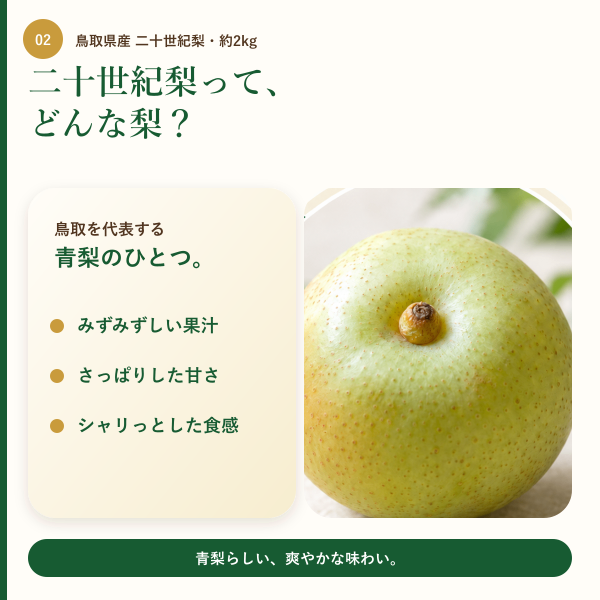 【鳥取県産】二十世紀梨 約2kg｜みずみずしく爽やかな甘さ｜ご家庭用