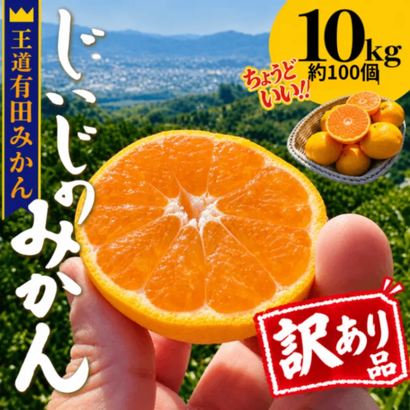 【訳あり・ご家庭用】傷はあるけど味はそのまま！ じぃじの有田みかん 10kg（約100個）