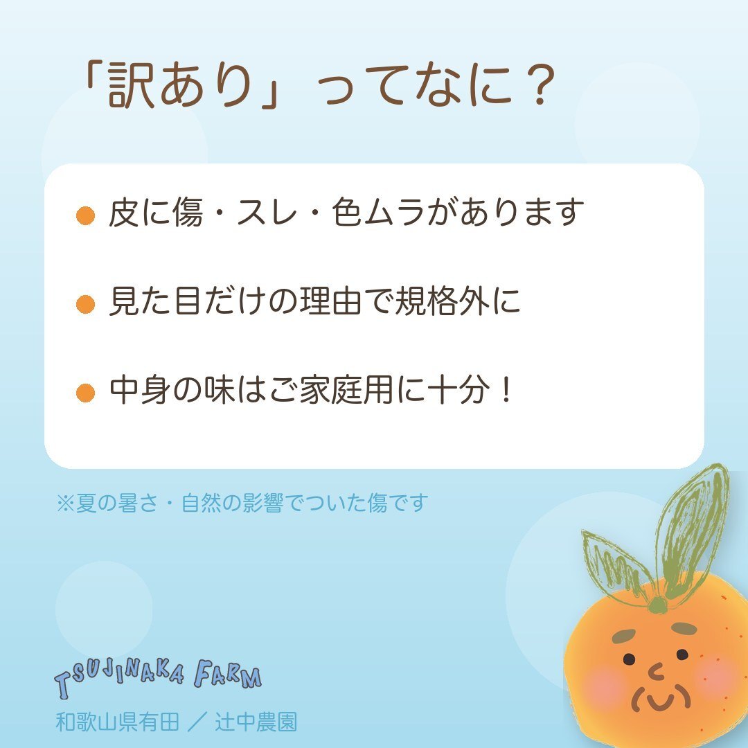 【訳あり・ご家庭用】傷はあるけど味はそのまま！ じぃじの有田みかん 10kg（約100個）