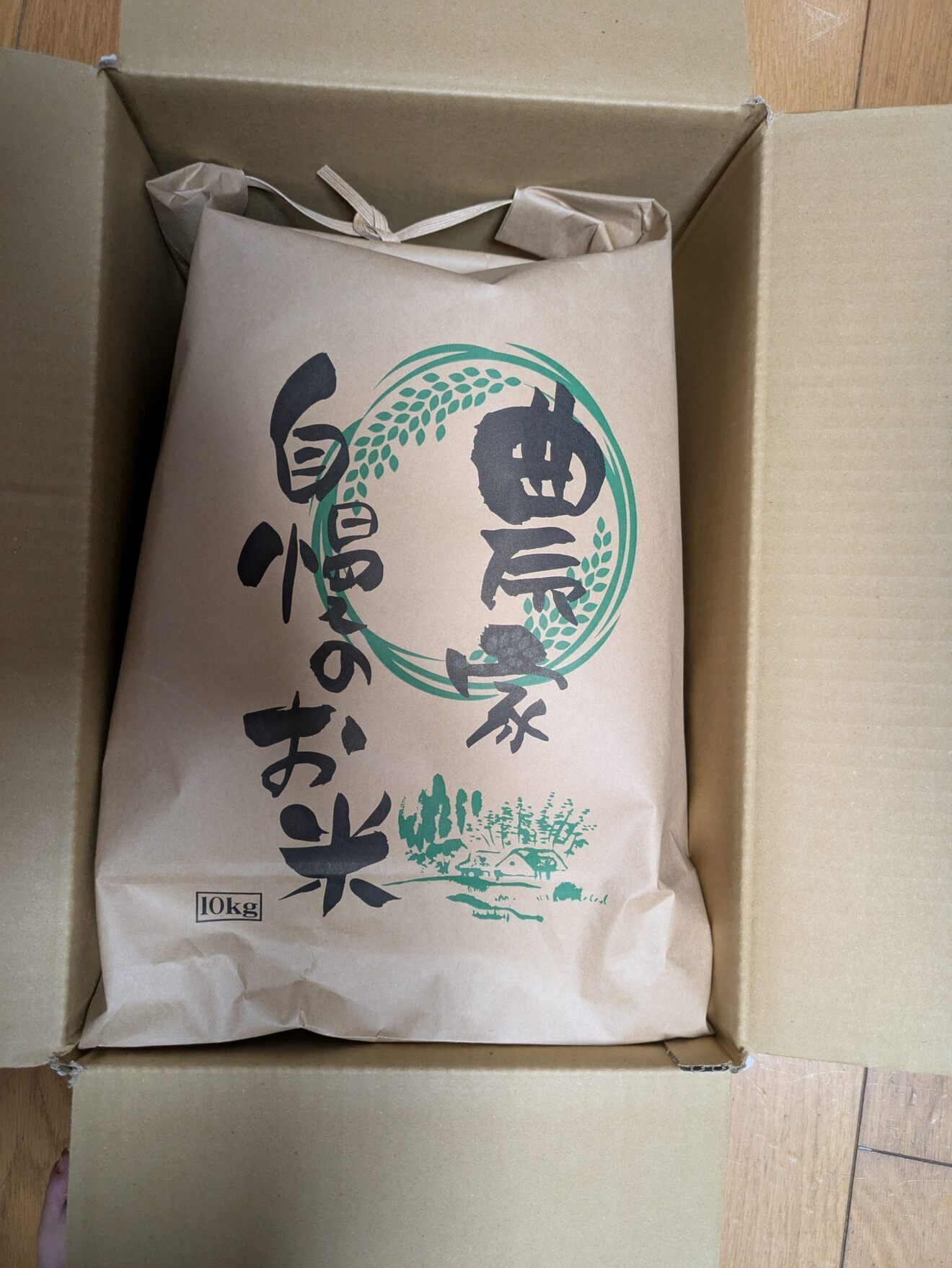 【令和8年　新米】　鳥取県産　コシヒカリ10kg　
