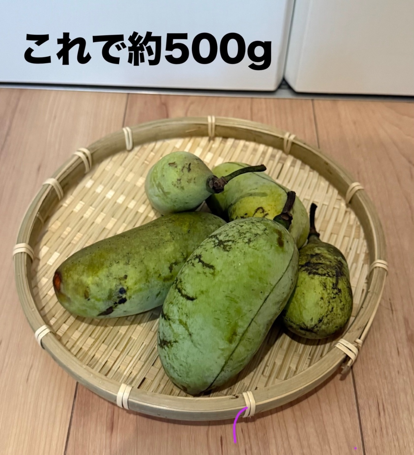 【秋の味覚】お試し少量サイズ　シーズン終盤 「ポポー」約500g スーパーに並ばない「幻の果物」