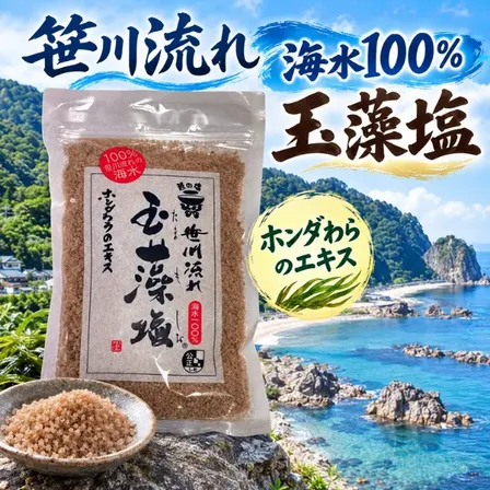 新潟 笹川流れ 玉藻塩 150g 海水100％ 海藻エキス 手づくり塩 健康資産構築💪😋