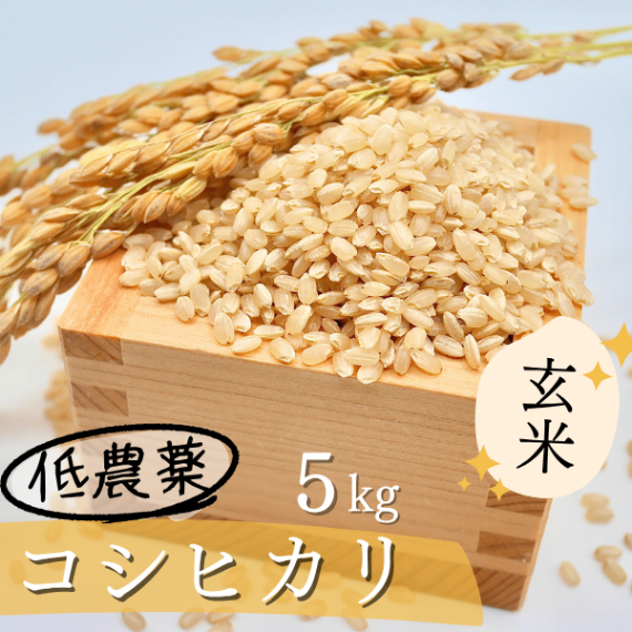 【令和8年静岡県産】低農薬（基準値の1/5）コシヒカリ　玄米 　5kg