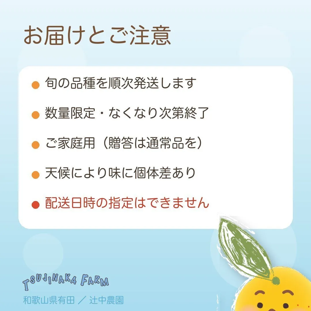 【訳あり・ご家庭用】傷はあるけど味はそのまま！ じぃじの有田みかん 10kg（約100個）