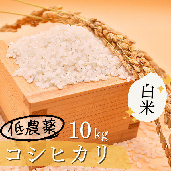 【玄米へ変更可】令和8年産【静岡県産】農薬低濃度（基準値の1/5）コシヒカリ　白米　10kg