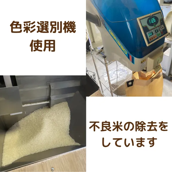 【秋の味覚】☆新米☆長野県産☀️天日干しコシヒカリ☀️低農薬　白米5kg　
10月23日発送分
