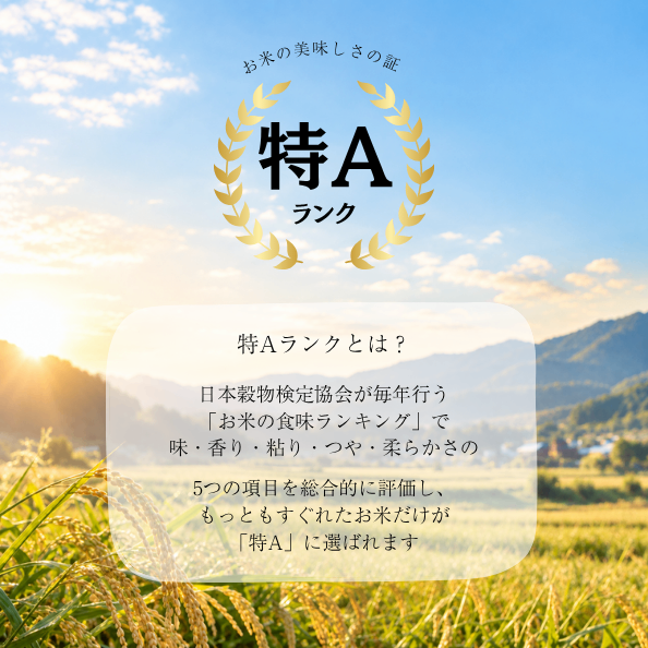 数量限定販売【特別栽培米】自然農法で育てた岡山県産きぬむすめ｜白米3kg｜農家直送