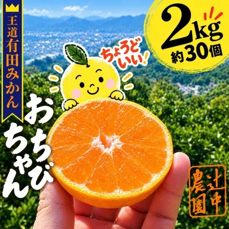 【人気の小玉】おちびちゃん 皮がむきやすく味が濃い！ じぃじの有田みかん 2kg（約30個）