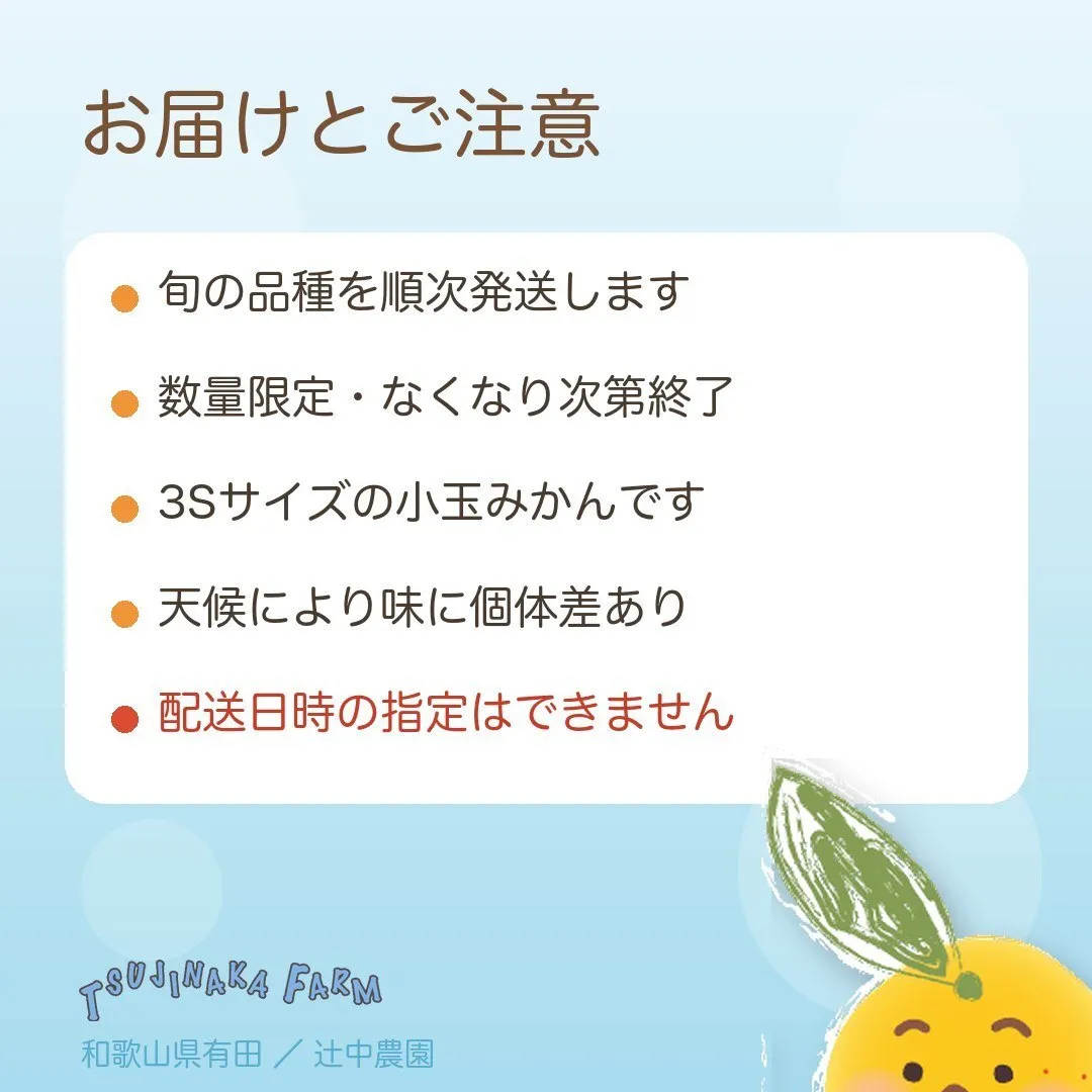 【人気の小玉】おちびちゃん 皮がむきやすく味が濃い！ じぃじの有田みかん 2kg（約30個）