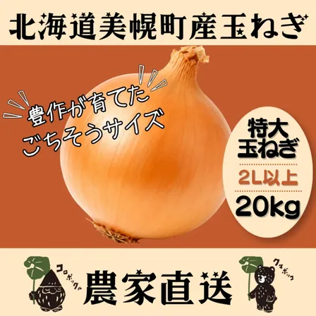 北海道産農家直送特大玉ねぎ20kg（2Lサイズ以上）