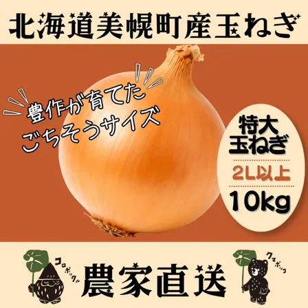 北海道産農家直送特大玉ねぎ10kg（２Lサイズ以上）