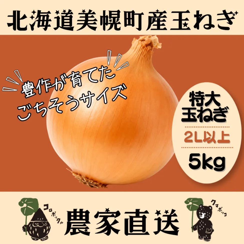 北海道産農家直送特大玉ねぎ5kg(2Lサイズ以上)