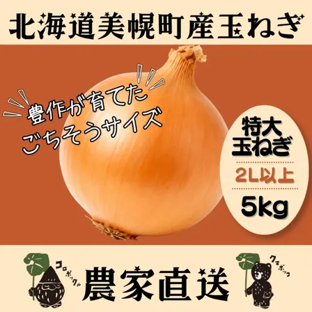 北海道産農家直送特大玉ねぎ5kg（２Lサイズ以上）