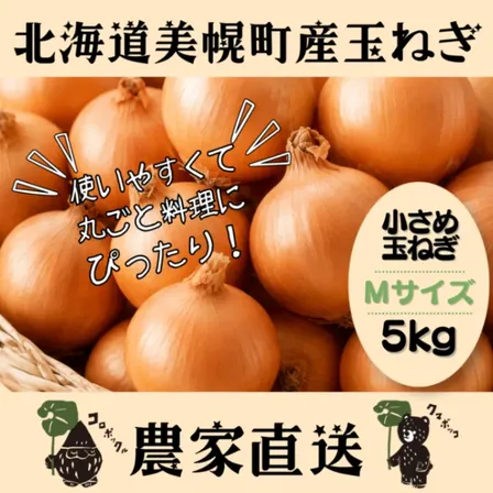 北海道産農家直送小さめ玉ねぎ5kg（Mサイズ）