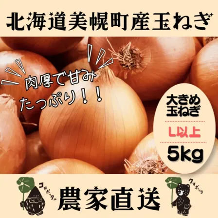 北海道産農家直送大きめ玉ねぎ5kg（Lサイズ以上）